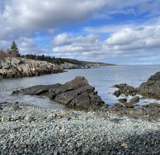 Black Point Cove