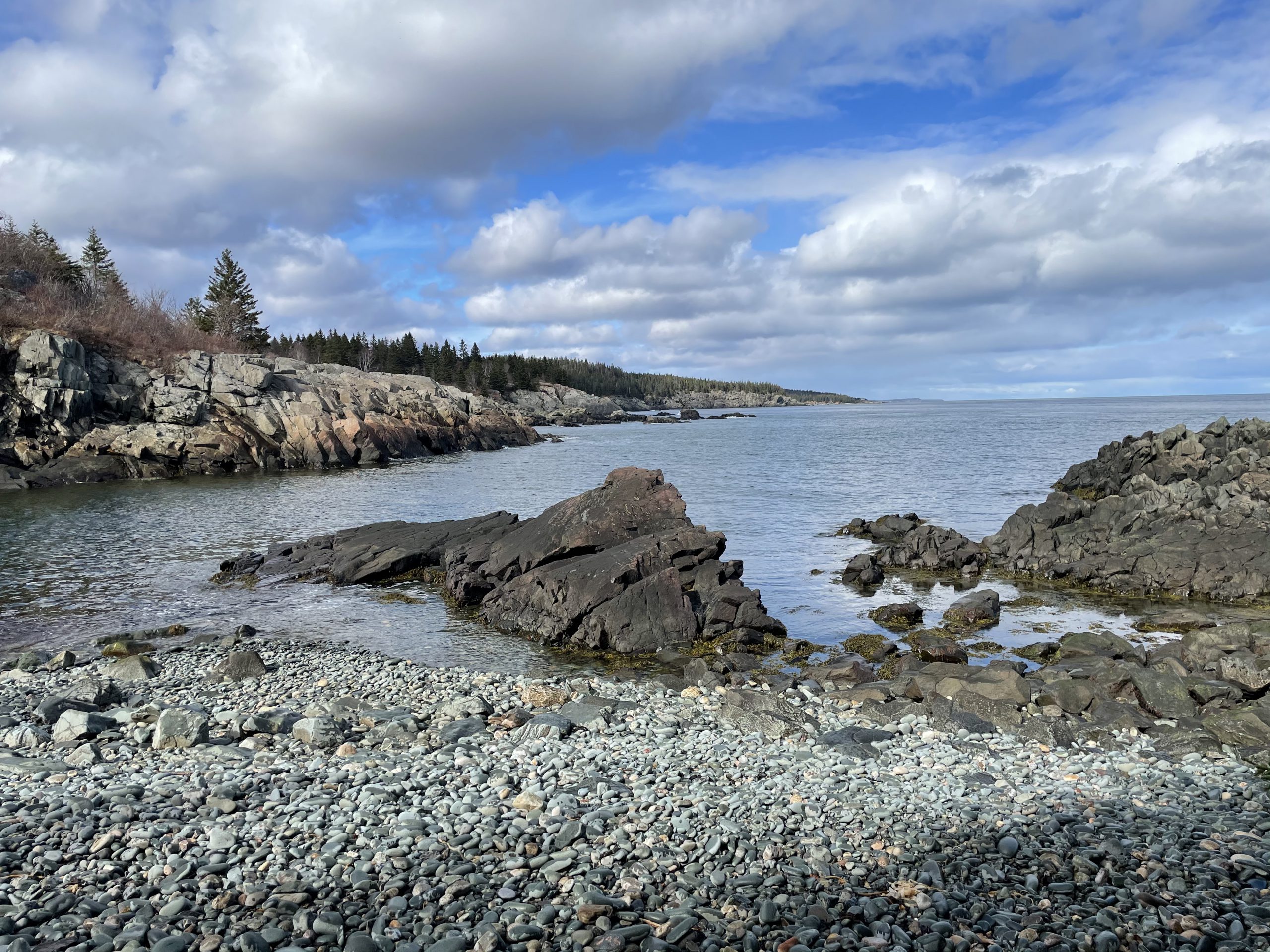 Black Point Cove